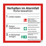 BSS-INDIVIDUAL-2026-135-V2